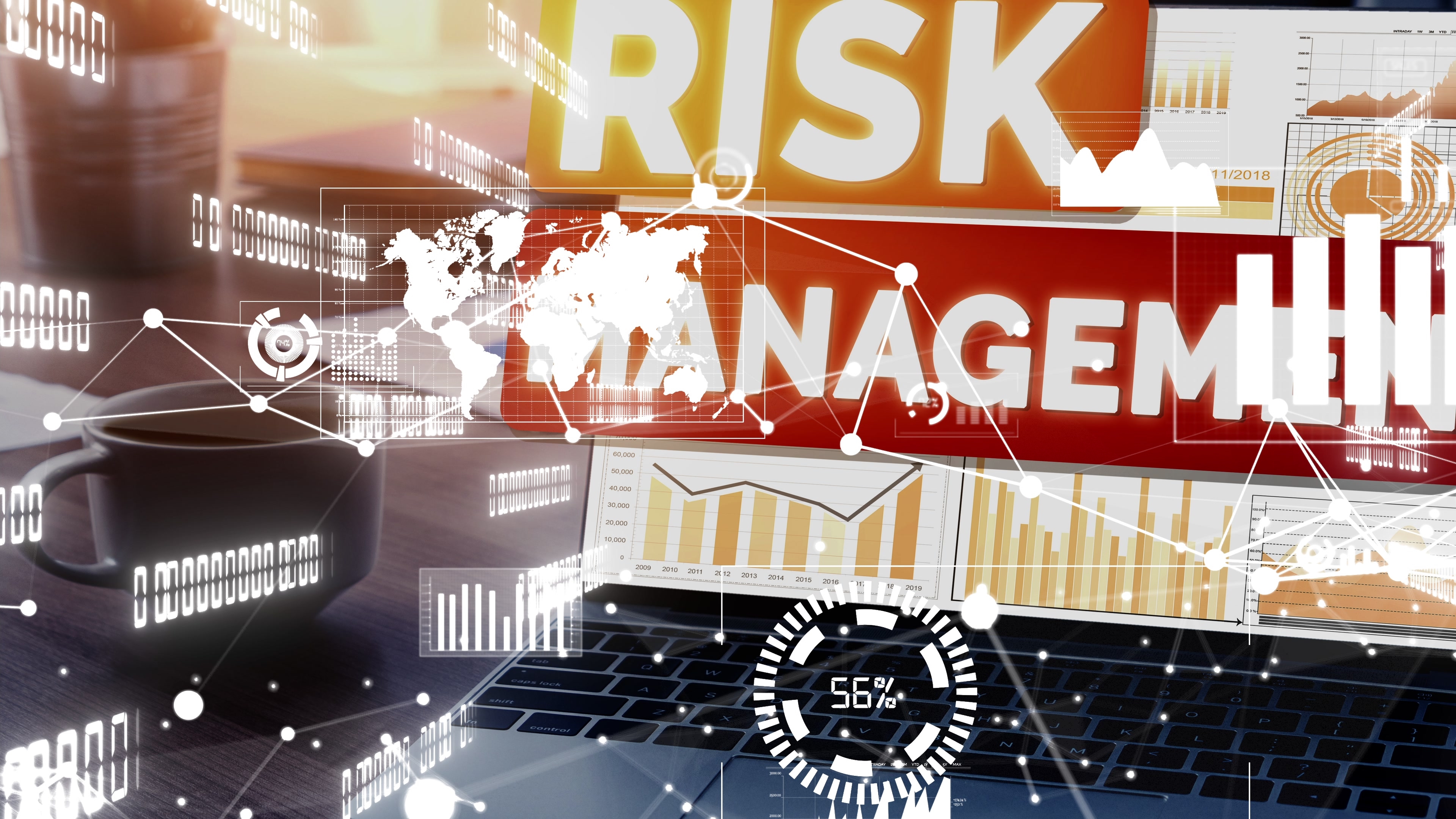 Risk Advisory Services
